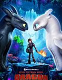 How to Train Your Dragon The Hidden World (2019)