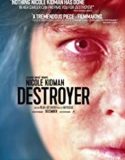 Destroyer (2018)