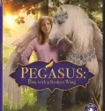 Pegasus Pony with a Broken Wing (2019)