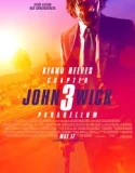 John Wick Chapter 3 Parabellum (2019)