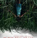 In the Tall Grass (2019)