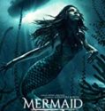 Mermaid Down (2019)