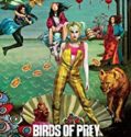 Birds of Prey And the Fantabulous Emancipation of One Harley Quinn (2020)