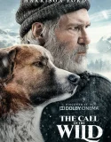 The Call of the Wild (2020)