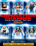 WWE Elimination Chamber (2020)