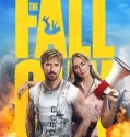 The Fall Guy (2024)