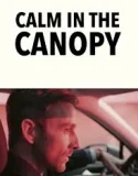 Calm in the Canopy (2024)