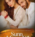Sunn Mere Dil (2024)
