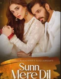 Sunn Mere Dil (2024)