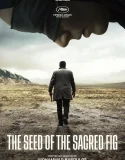 The Seed of the Sacred Fig (2024)
