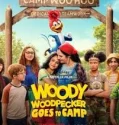Woody Woodpecker Goes to Camp (2024)