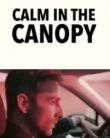 Calm in the Canopy (2024)