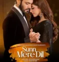 NONTON – Sunn Mere Dil (2024)