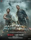Bade Miyan Chote Miyan (2024)