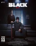 Black (2024)