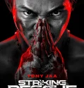 Striking Rescue (2024)