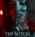 The Witch Revenge (2024)