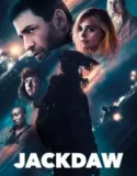 Jackdaw (2024)