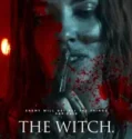 The Witch Revenge (2024)