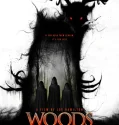 Woods of Ash (2025)