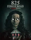 825 Forest Road (2025)