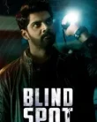 Blind Spot (2025)