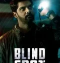 Blind Spot (2025)