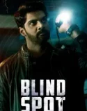 Blind Spot (2025)