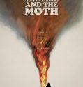 The Fire and the Moth (2025)