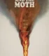 The Fire and the Moth (2025)