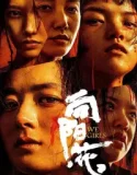 We Girls (2025)