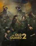 The Old Guard 2 (2025)