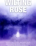 Wilting Rose (2025)