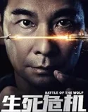 Battle of the Wolf (2025)